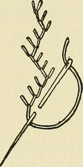 An illustration from Needlecraft, 1911, leaf 144