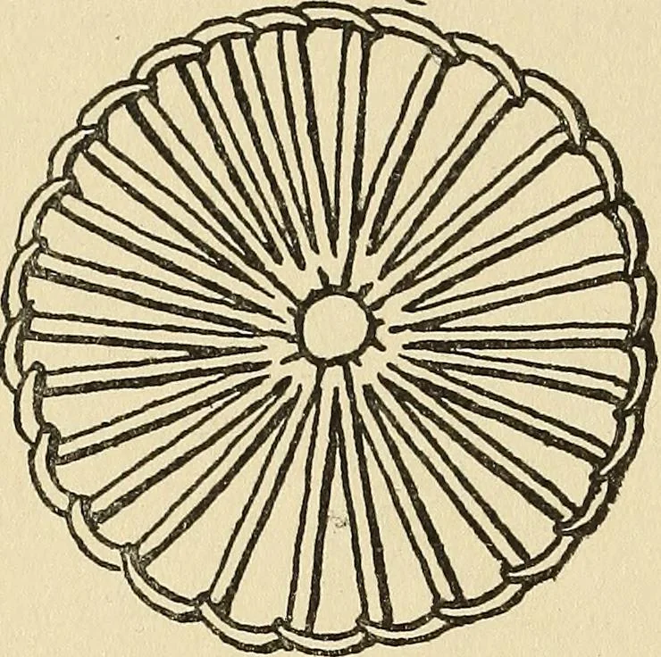 An illustration from Needlecraft, 1911, leaf 161