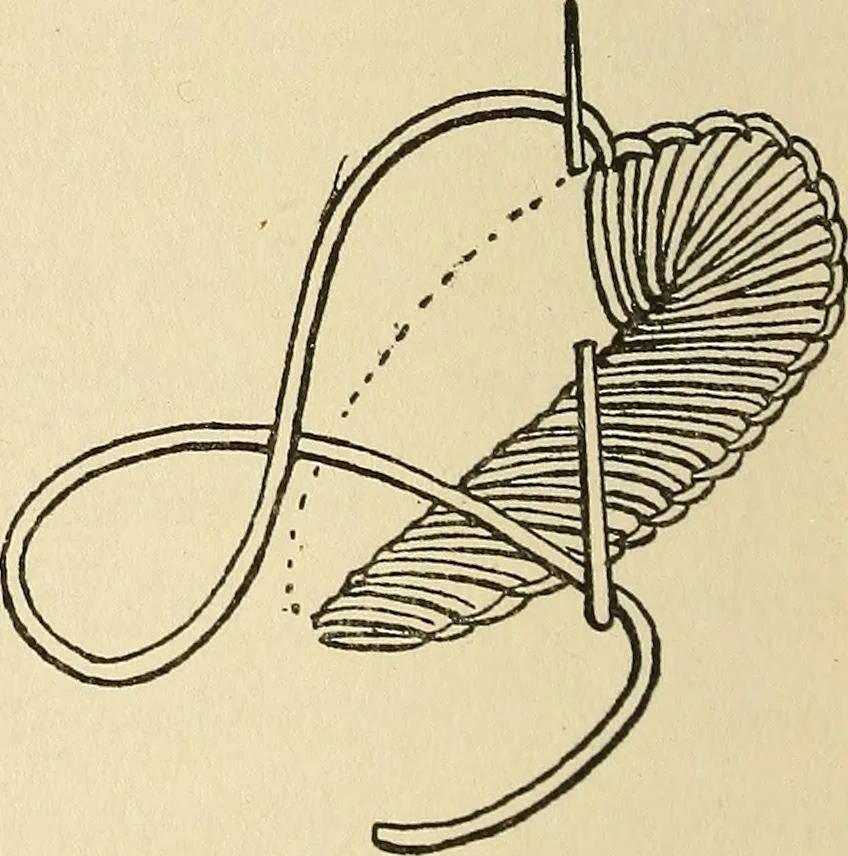 An illustration from Needlecraft, 1911, leaf 161