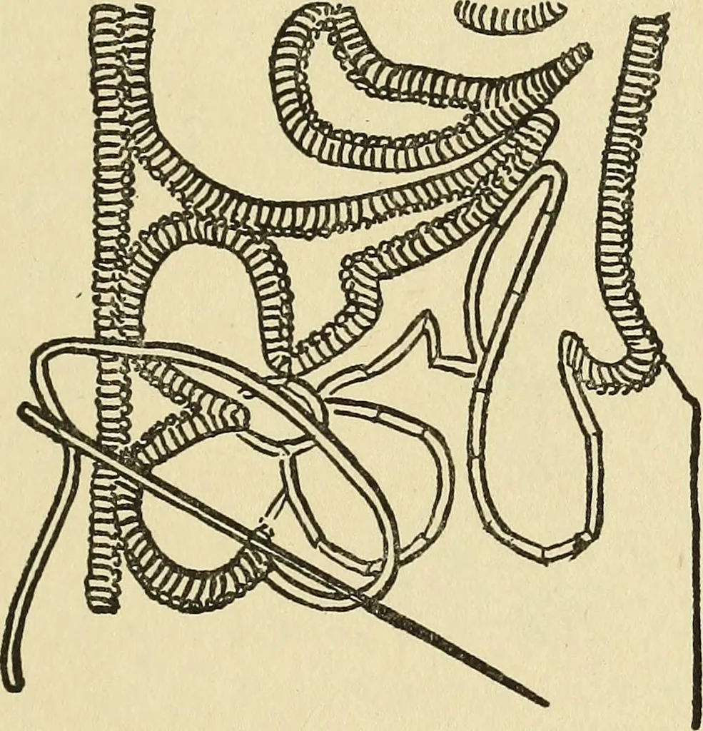 An illustration from Needlecraft, 1911, leaf 166