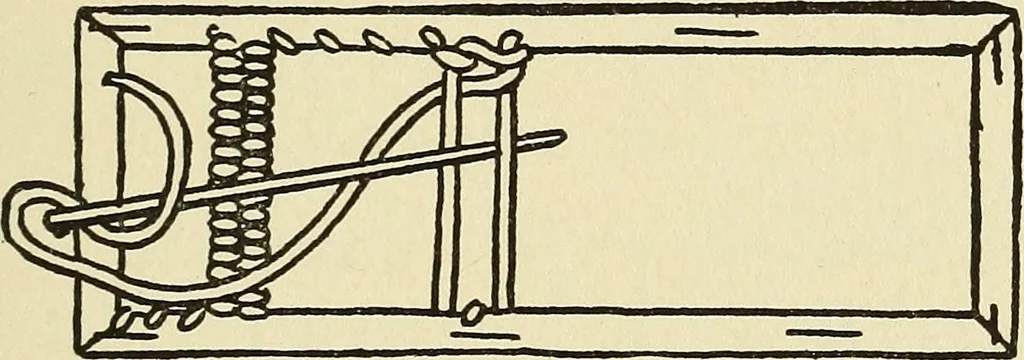 An illustration from Needlecraft, 1911, leaf 168