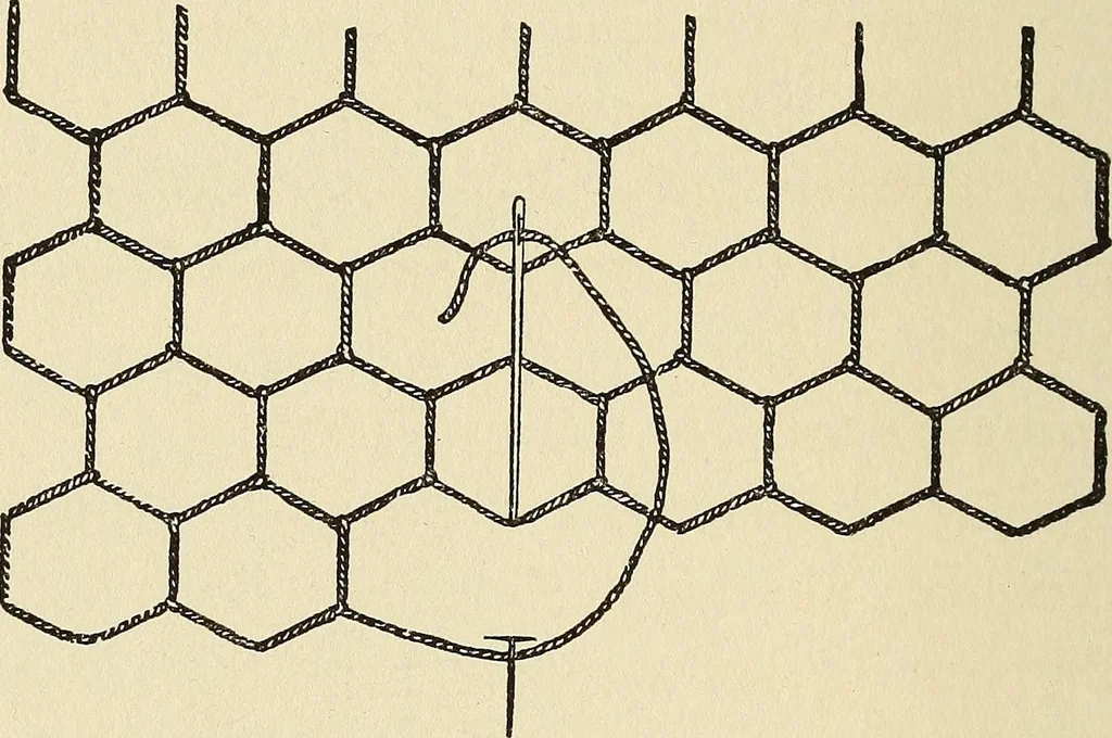 An illustration from Needlecraft, 1911, leaf 171