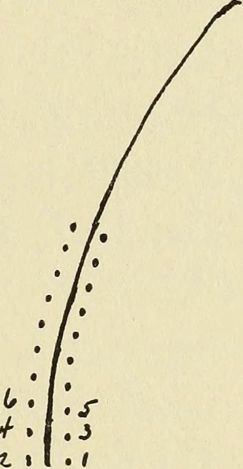 An illustration from Needlecraft, 1911, leaf 172