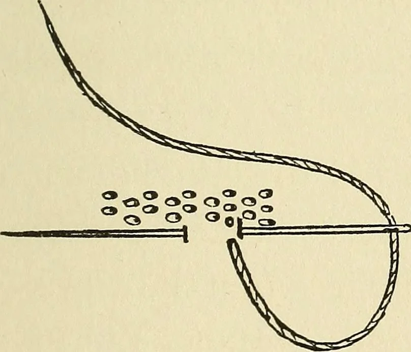 An illustration from Needlecraft, 1911, leaf 180