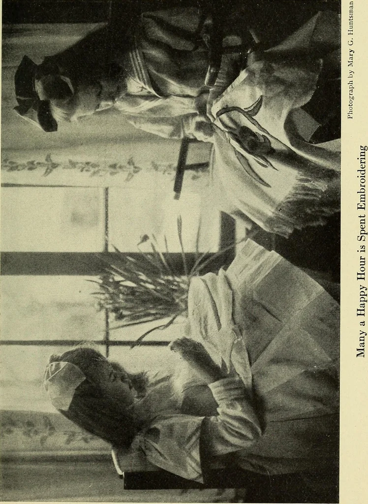 An illustration from Needlecraft, 1911, leaf 192