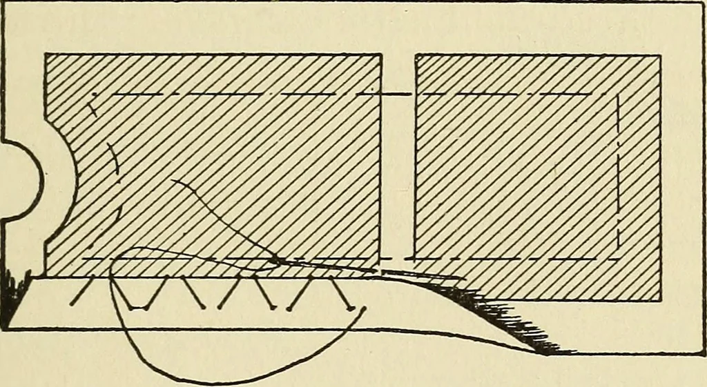 An illustration from Needlecraft, 1911, leaf 214