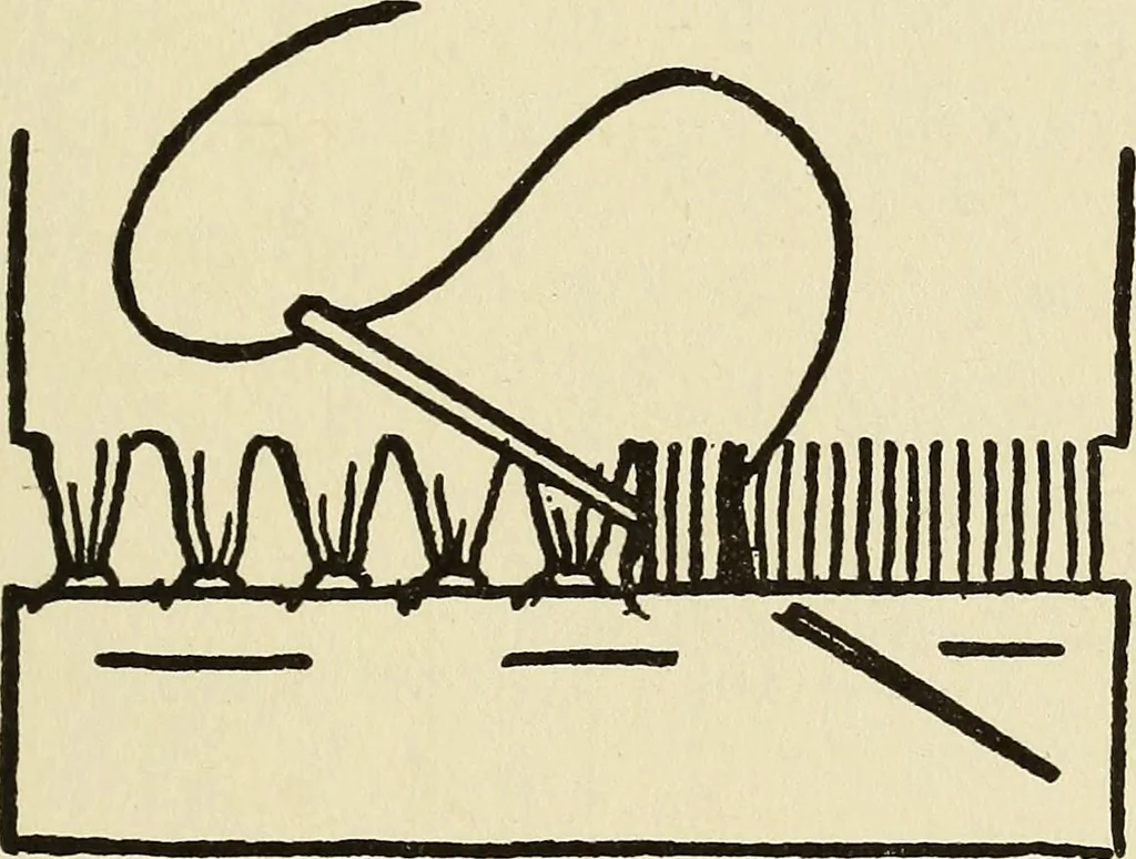 An illustration from Needlecraft, 1911, leaf 238
