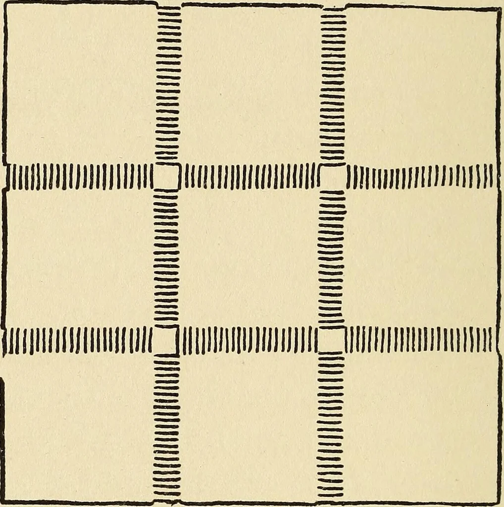 An illustration from Needlecraft, 1911, leaf 243