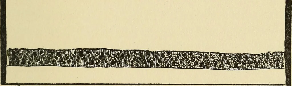 An illustration from Needlecraft, 1911, leaf 252