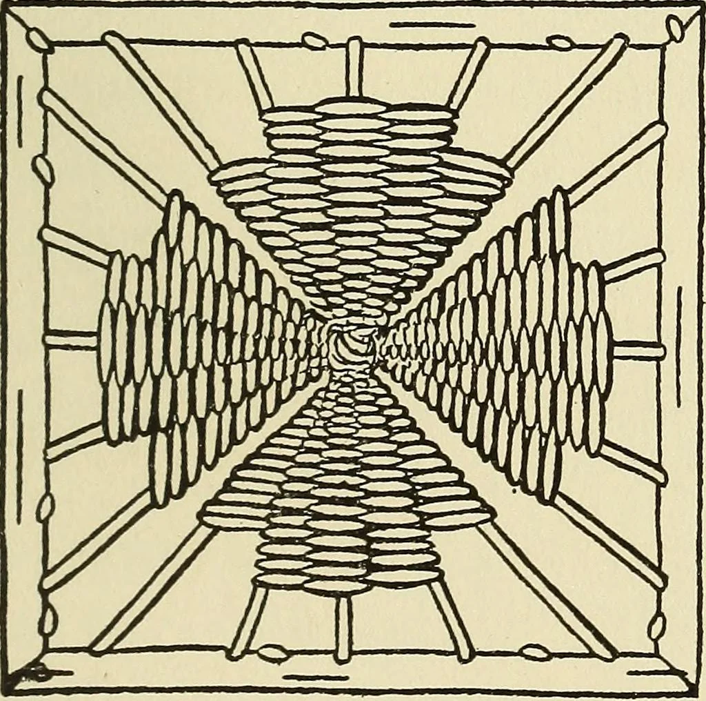 An illustration from Needlecraft, 1911, leaf 262