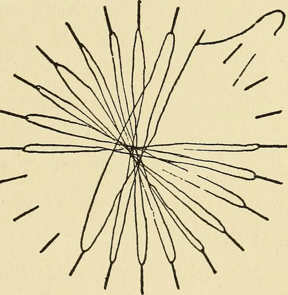 An illustration from Needlecraft, 1911, leaf 268
