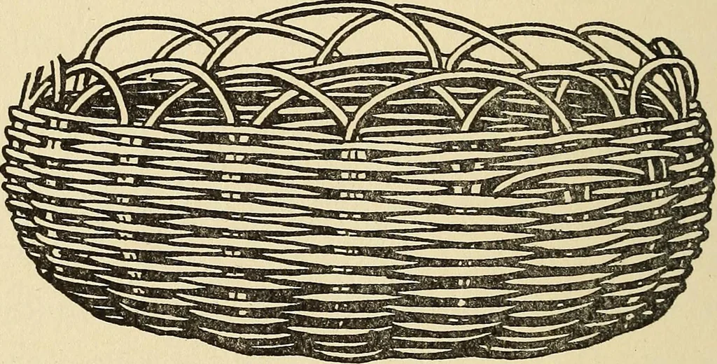 An illustration from Needlecraft, 1911, leaf 275