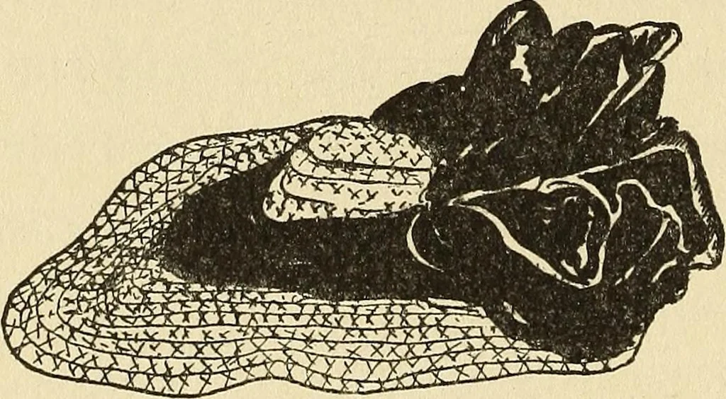 An illustration from Needlecraft, 1911, leaf 303
