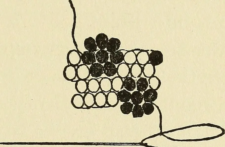 An illustration from Needlecraft, 1911, leaf 314