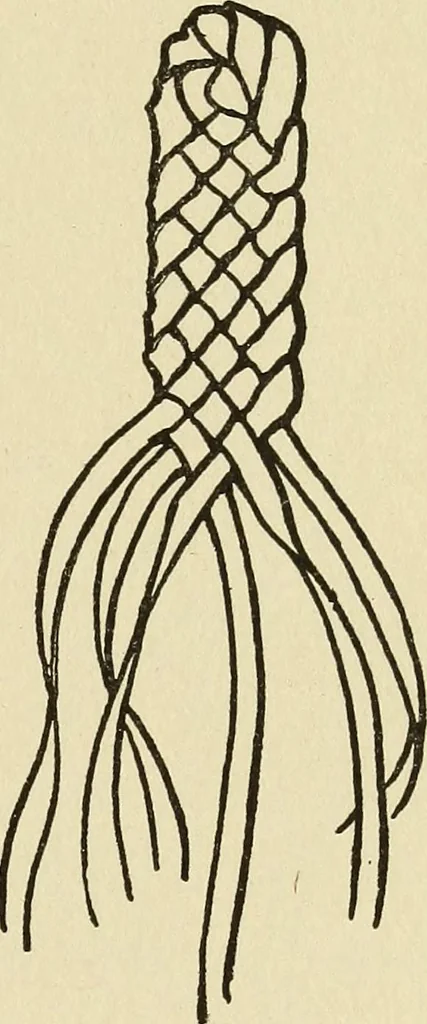 An illustration from Needlecraft, 1911, leaf 334
