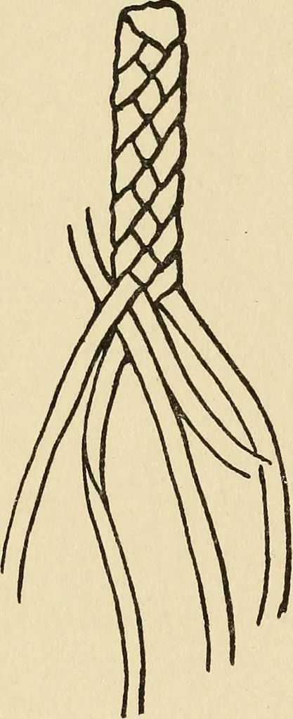 An illustration from Needlecraft, 1911, leaf 335