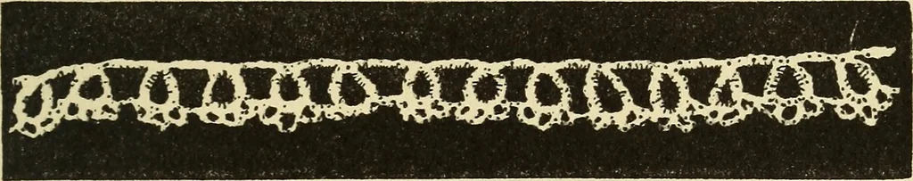 An illustration from Needlecraft, 1911, leaf 348