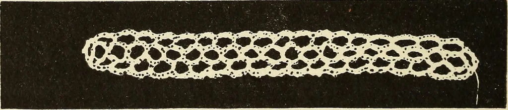 An illustration from Needlecraft, 1911, leaf 349