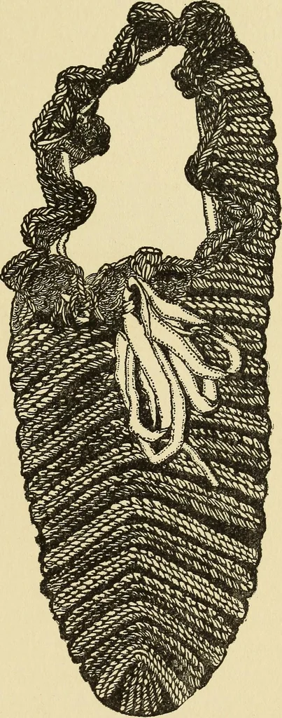 An illustration from Needlecraft, 1911, leaf 362
