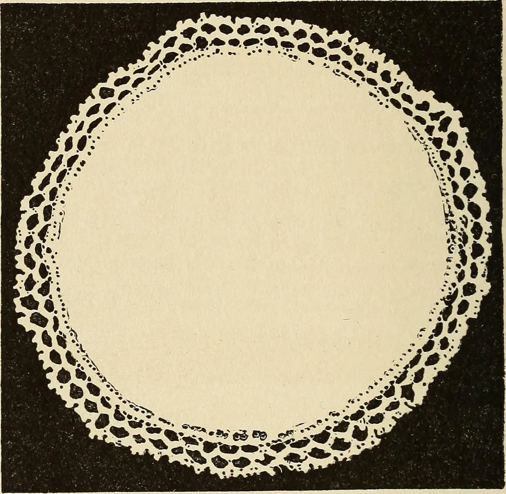An illustration from Needlecraft, 1911, leaf 371