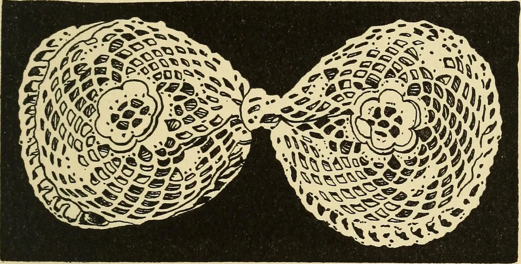An illustration from Needlecraft, 1911, leaf 374