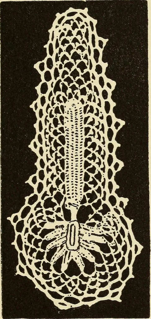 An illustration from Needlecraft, 1911, leaf 380