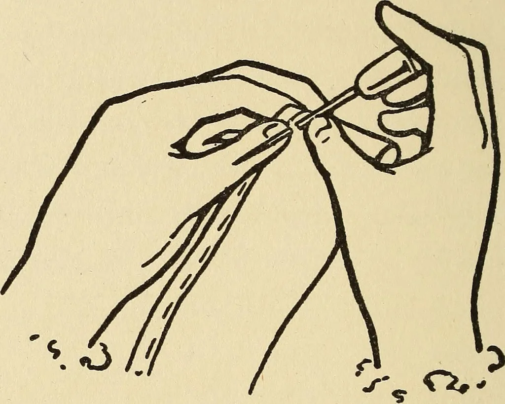 An illustration from Needlecraft, 1911, leaf 43