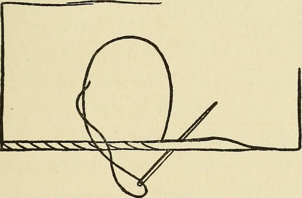 An illustration from Needlecraft, 1911, leaf 46