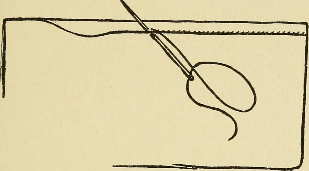 An illustration from Needlecraft, 1911, leaf 48