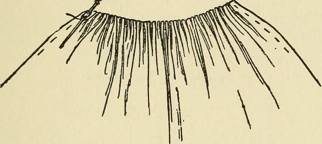 An illustration from Needlecraft, 1911, leaf 54