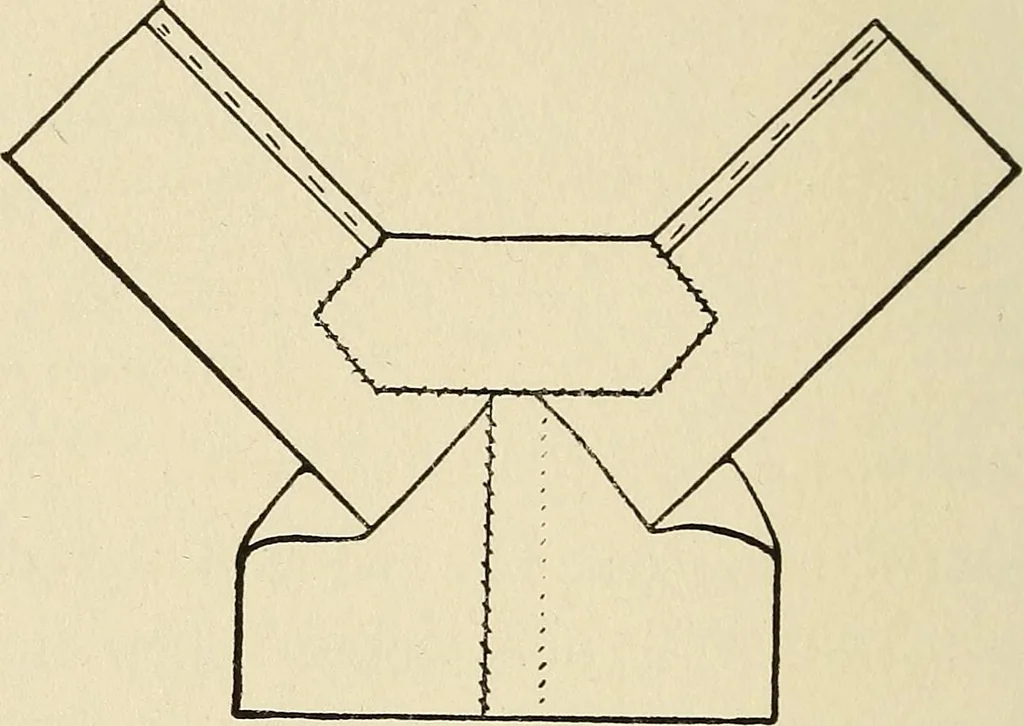 An illustration from Needlecraft, 1911, leaf 65