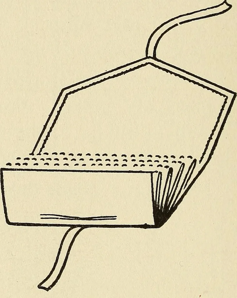 An illustration from Needlecraft, 1911, leaf 81