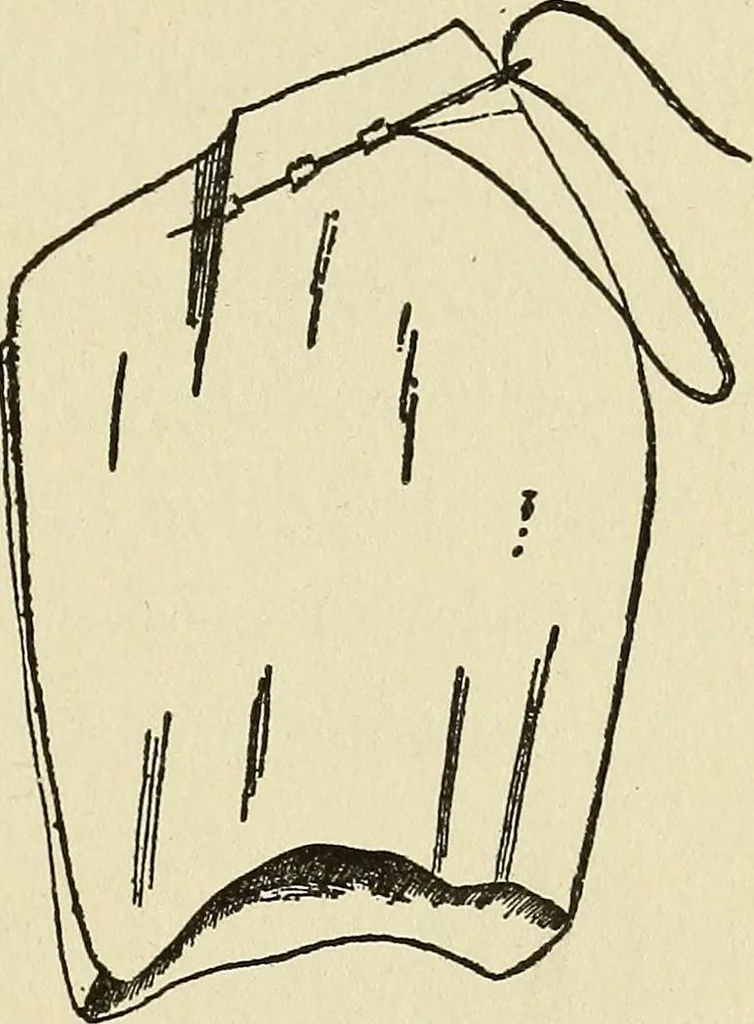 An illustration from Needlecraft, 1911, leaf 94