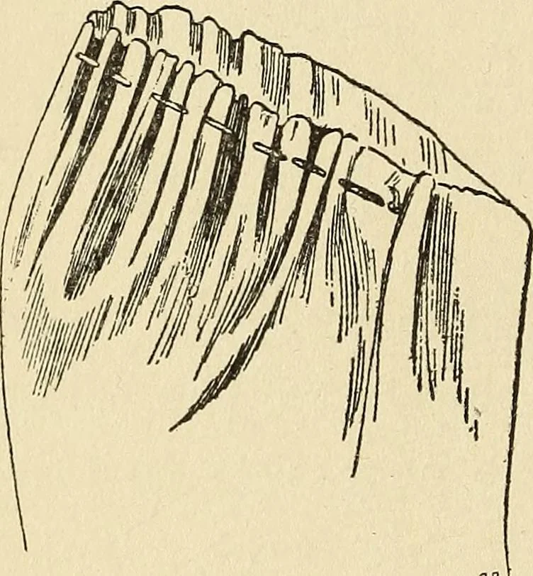 An illustration from Needlecraft, 1911, leaf 95