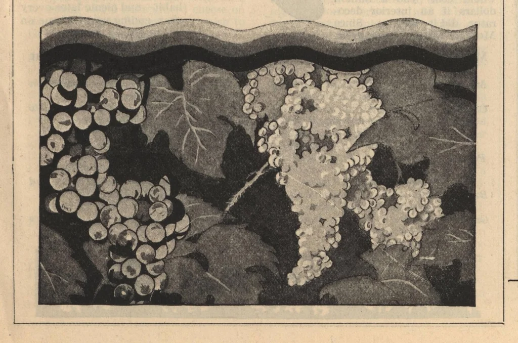 An illustration from Needlecraft Magazine (October, 1927), 1927, leaf 24