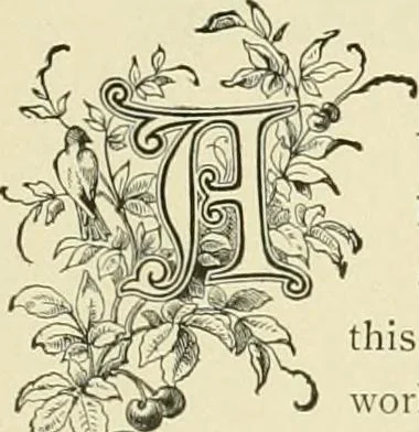 An illustration from Needle-craft: artistic and practical, 1889, leaf 110