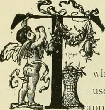 An illustration from Needle-craft: artistic and practical, 1889, leaf 114