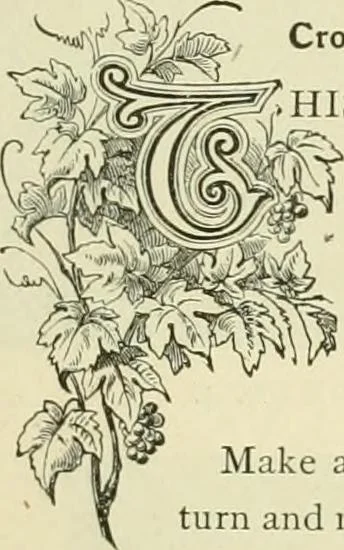 An illustration from Needle-craft: artistic and practical, 1889, leaf 118