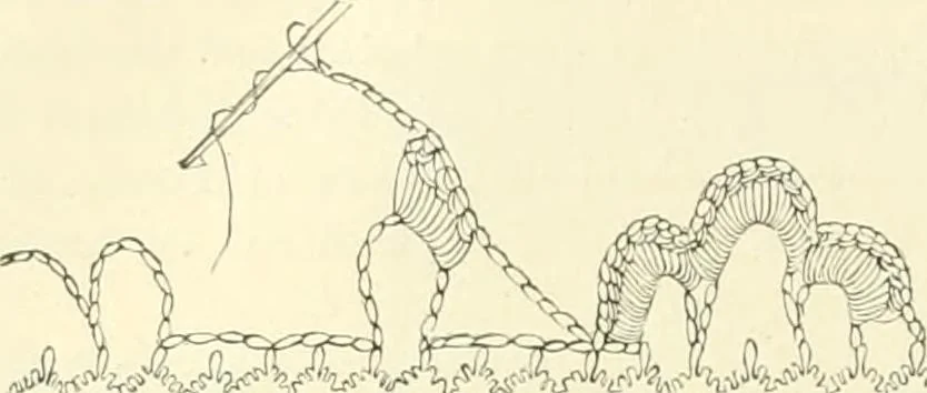 An illustration from Needle-craft: artistic and practical, 1889, leaf 125