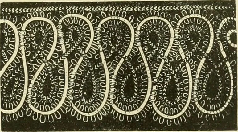 An illustration from Needle-craft: artistic and practical, 1889, leaf 130