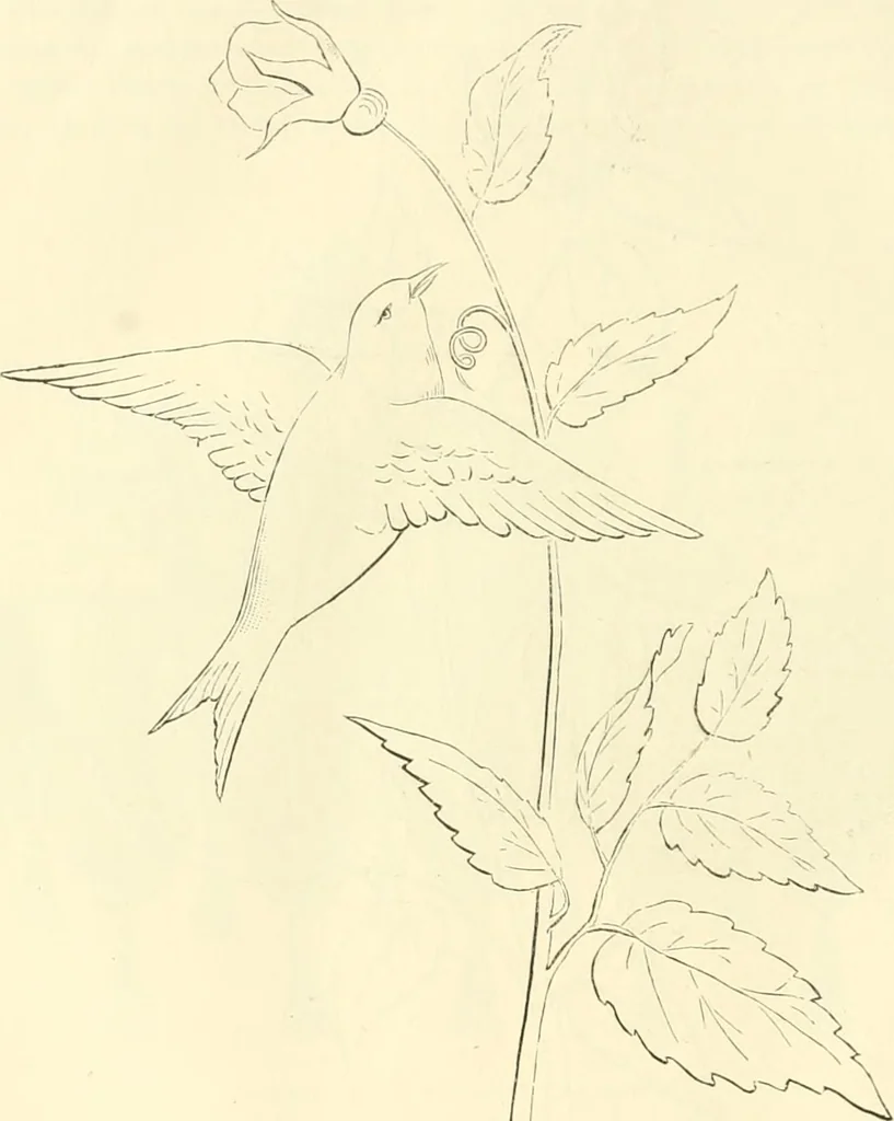 An illustration from Needle-craft: artistic and practical, 1889, leaf 165
