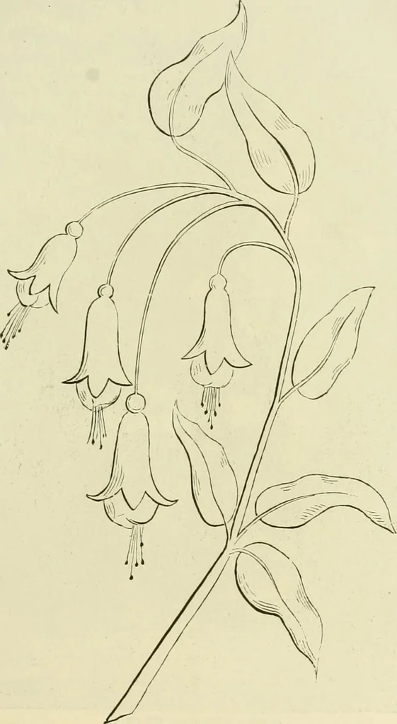 An illustration from Needle-craft: artistic and practical, 1889, leaf 168