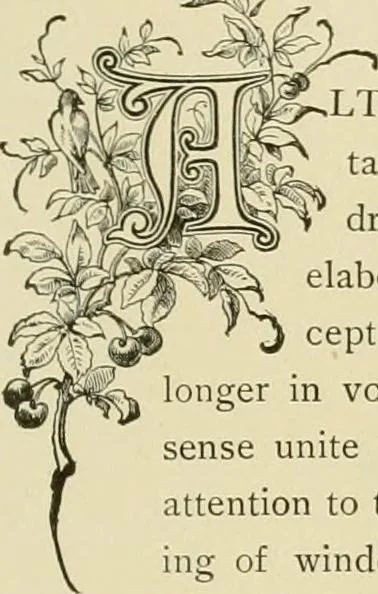 An illustration from Needle-craft: artistic and practical, 1889, leaf 170