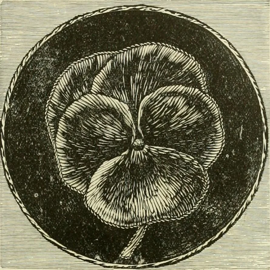 An illustration from Needle-craft: artistic and practical, 1889, leaf 172