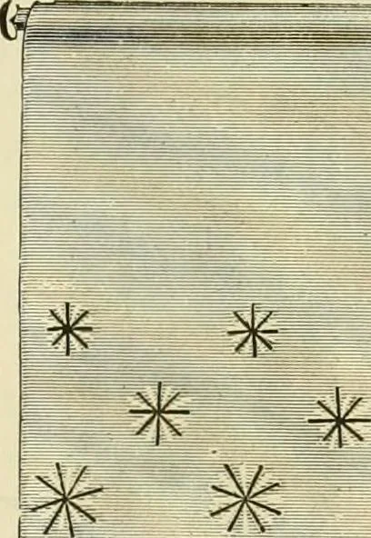 An illustration from Needle-craft: artistic and practical, 1889, leaf 172
