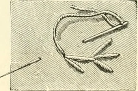 An illustration from Needle-craft: artistic and practical, 1889, leaf 193