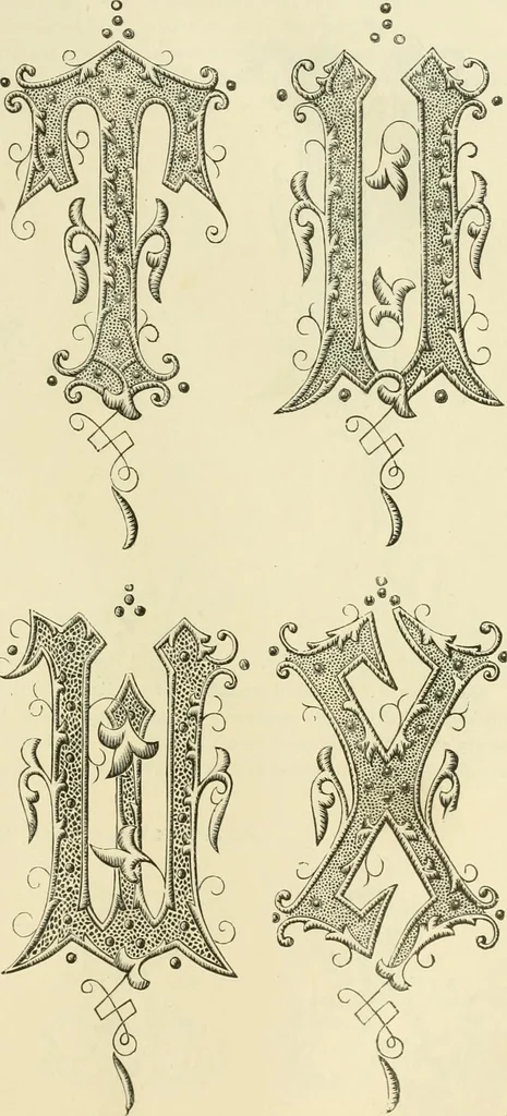 An illustration from Needle-craft: artistic and practical, 1889, leaf 202
