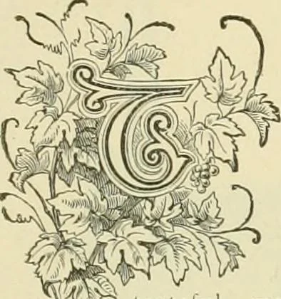 An illustration from Needle-craft: artistic and practical, 1889, leaf 214