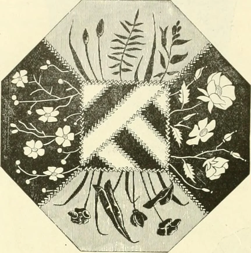 An illustration from Needle-craft: artistic and practical, 1889, leaf 235