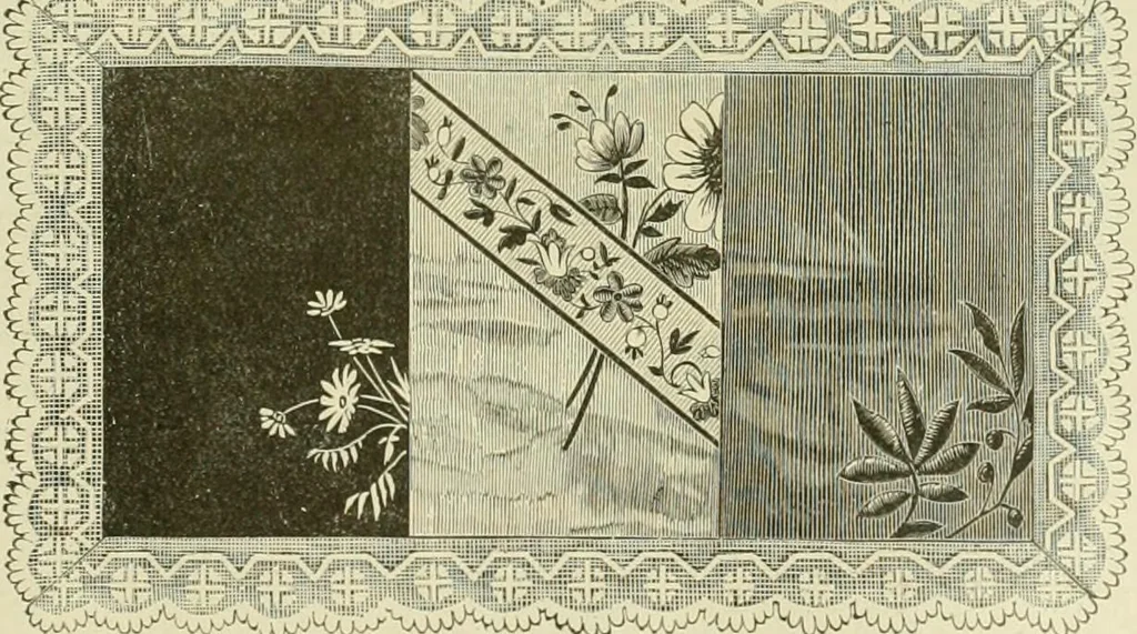 An illustration from Needle-craft: artistic and practical, 1889, leaf 242